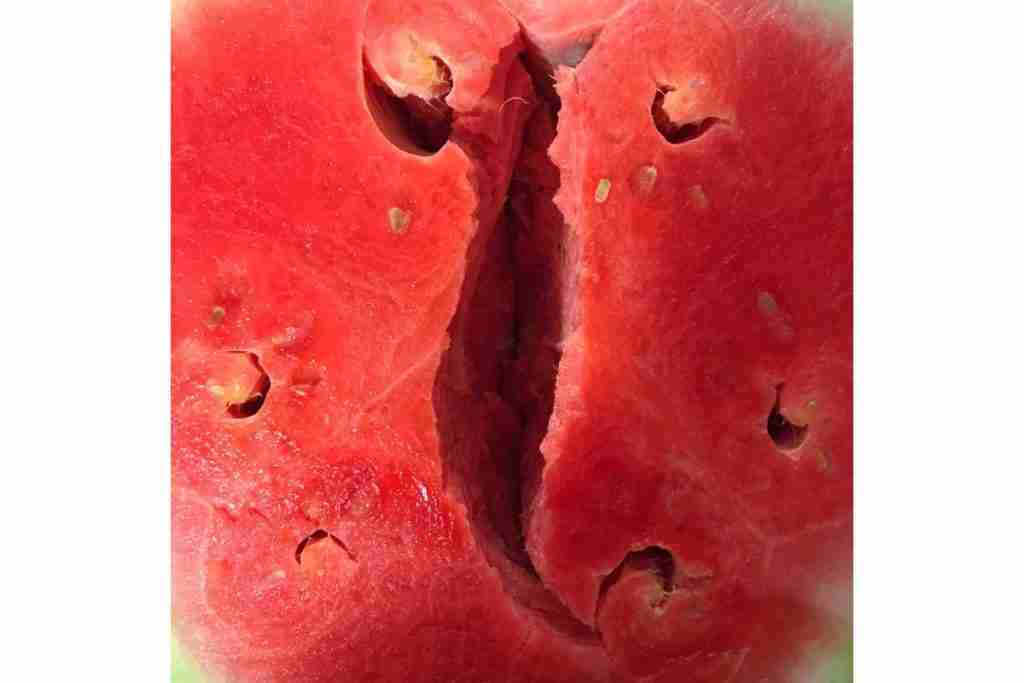 Red graphic image simulating the vagina with some lumps and bumps around the opening