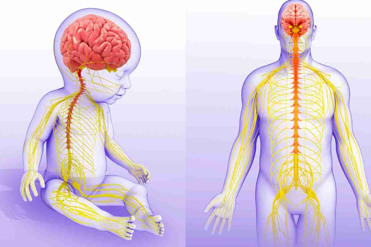 Uncovering the Causes of Adult Health Issues: Origins in Birth
