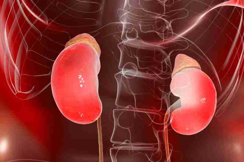 What are the symptoms of high cortisol levels